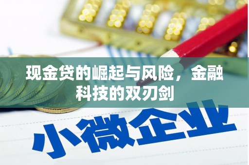 华龙现金贷的崛起与风险，金融科技的双刃剑