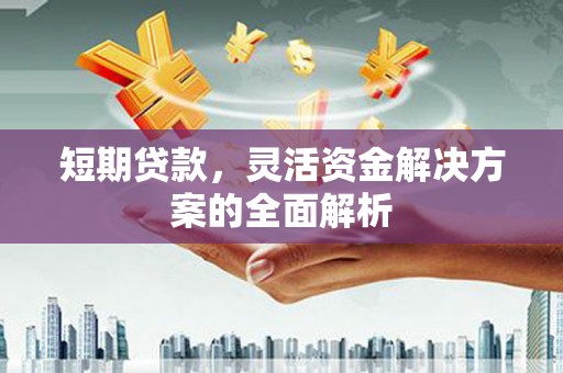 华龙短期贷款，灵活资金解决方案的全面解析