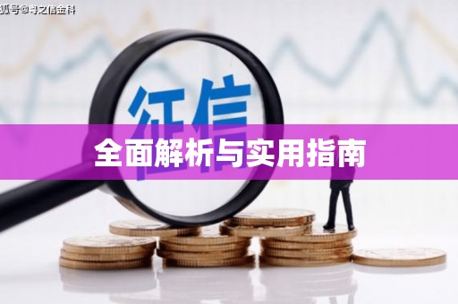华龙全面解析与实用指南