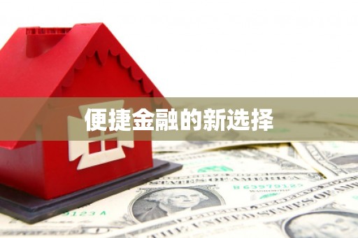 华龙便捷金融的新选择