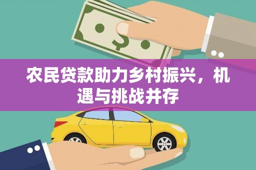 华龙农民贷款助力乡村振兴，机遇与挑战并存