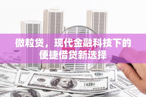 华龙微粒贷，现代金融科技下的便捷借贷新选择