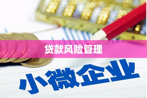 华龙贷款风险管理