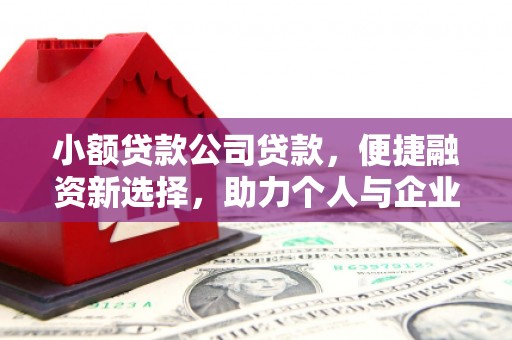 华龙小额贷款公司贷款，便捷融资新选择，助力个人与企业成长