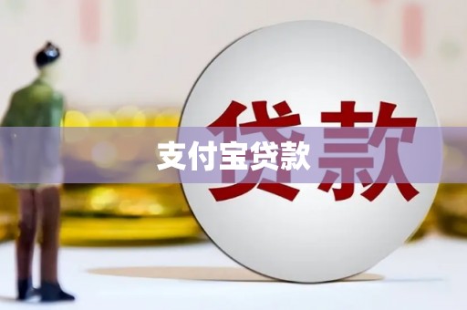 华龙支付宝贷款