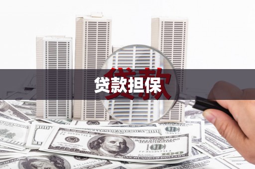 华龙贷款担保