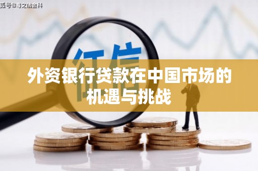 华龙外资银行贷款在中国市场的机遇与挑战