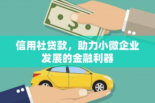 华龙信用社贷款，助力小微企业发展的金融利器