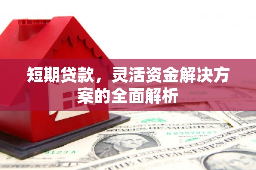 华龙短期贷款，灵活资金解决方案的全面解析
