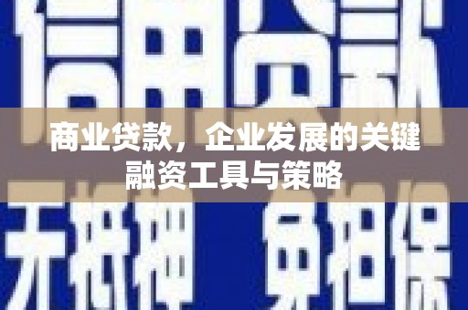 华龙商业贷款，企业发展的关键融资工具与策略