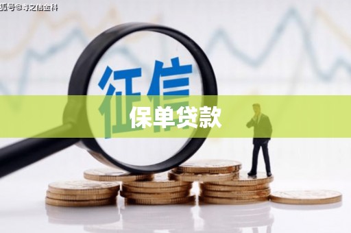 华龙保单贷款