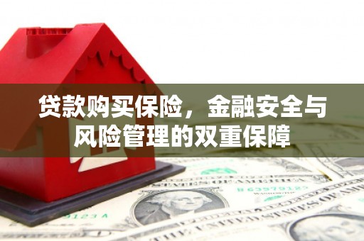 华龙贷款购买保险，金融安全与风险管理的双重保障