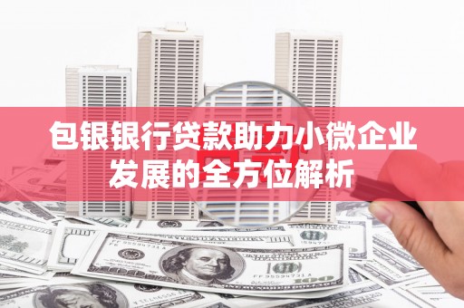 华龙包银银行贷款助力小微企业发展的全方位解析