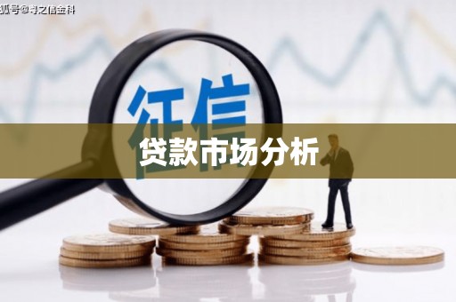 华龙贷款市场分析