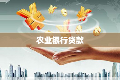华龙农业银行贷款