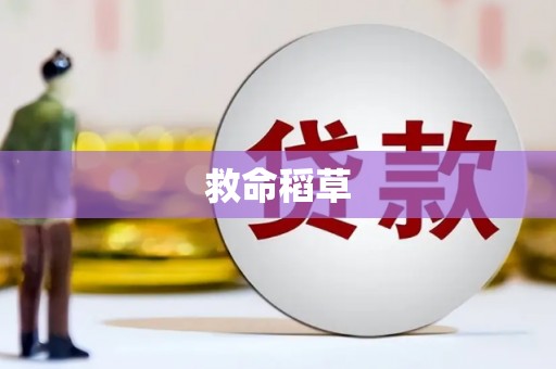 华龙救命稻草