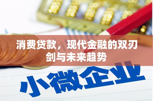 华龙消费贷款，现代金融的双刃剑与未来趋势