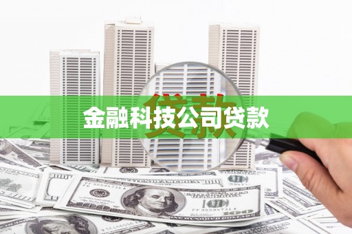 华龙金融科技公司贷款