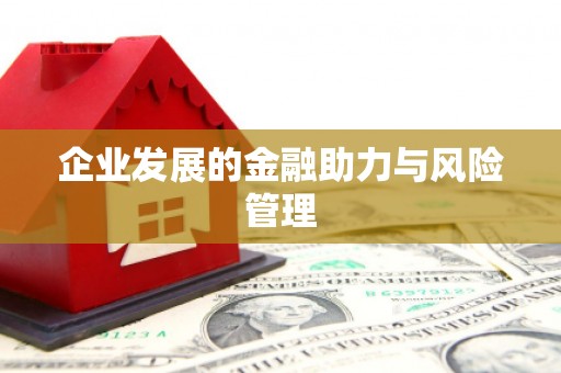 华龙企业发展的金融助力与风险管理