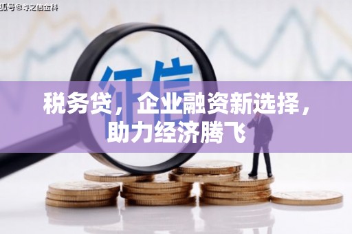华龙税务贷，企业融资新选择，助力经济腾飞