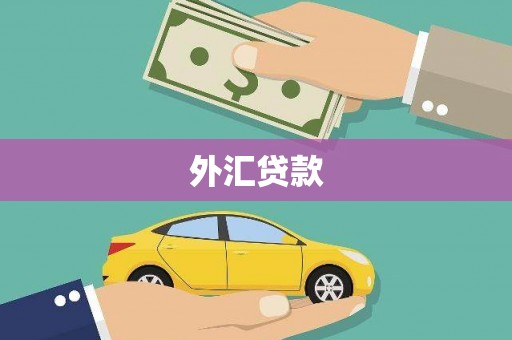 华龙外汇贷款
