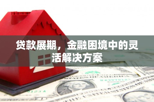 华龙贷款展期，金融困境中的灵活解决方案