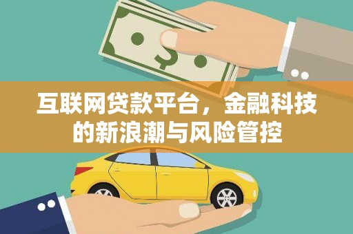 华龙互联网贷款平台，金融科技的新浪潮与风险管控