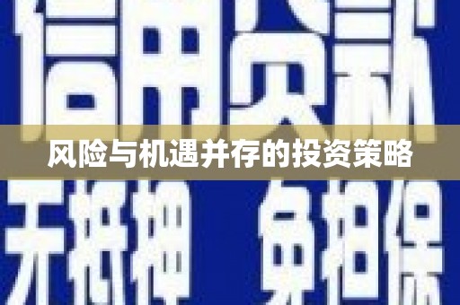华龙风险与机遇并存的投资策略