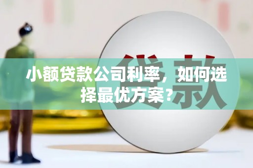 华龙小额贷款公司利率，如何选择最优方案？