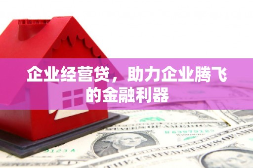 华龙企业经营贷，助力企业腾飞的金融利器