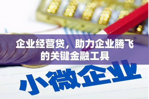 华龙企业经营贷，助力企业腾飞的关键金融工具