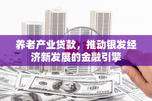 华龙养老产业贷款，推动银发经济新发展的金融引擎