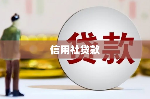 华龙信用社贷款