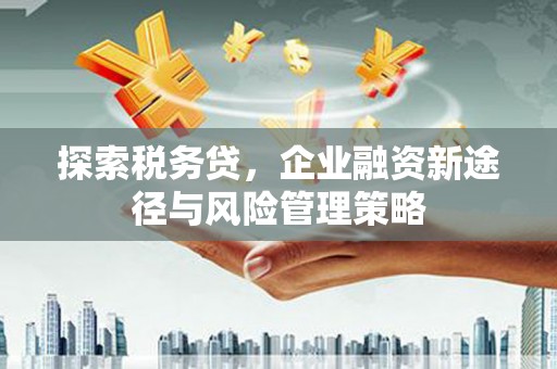 华龙探索税务贷，企业融资新途径与风险管理策略