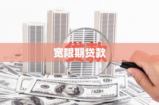 华龙宽限期贷款