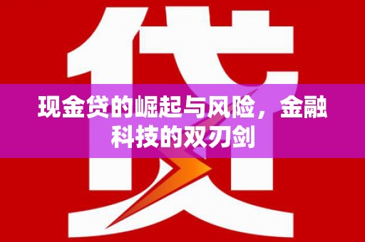 华龙现金贷的崛起与风险，金融科技的双刃剑