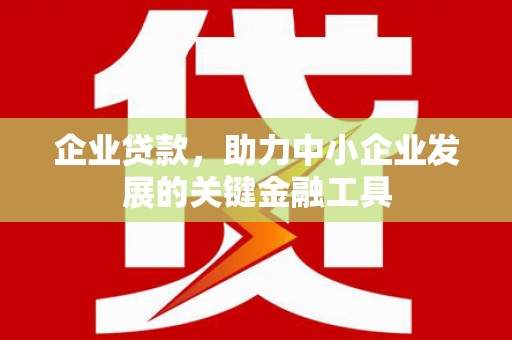 华龙企业贷款，助力中小企业发展的关键金融工具