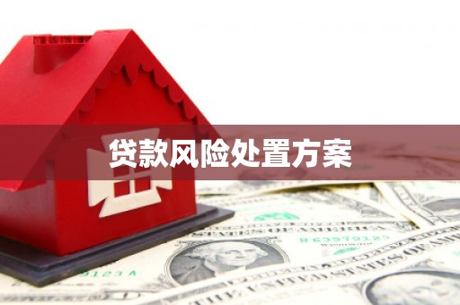 华龙贷款风险处置方案