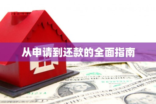 华龙从申请到还款的全面指南
