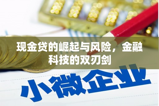 华龙现金贷的崛起与风险，金融科技的双刃剑