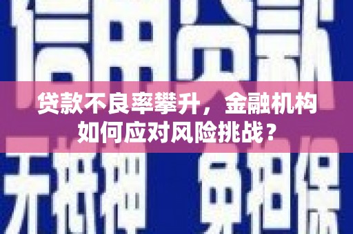 华龙贷款不良率攀升，金融机构如何应对风险挑战？