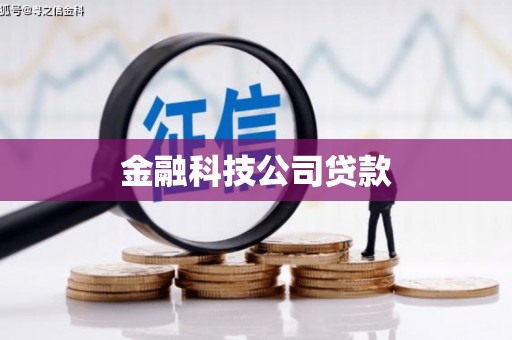 华龙金融科技公司贷款