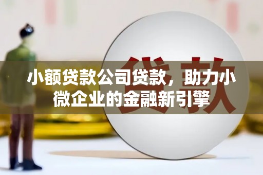 华龙小额贷款公司贷款，助力小微企业的金融新引擎