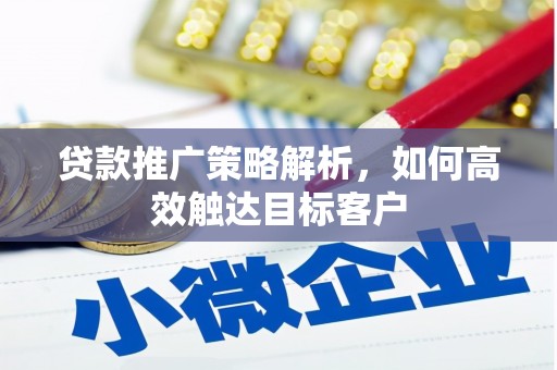 华龙贷款推广策略解析，如何高效触达目标客户