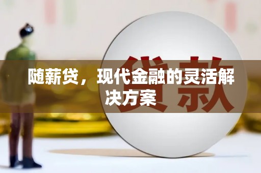华龙随薪贷，现代金融的灵活解决方案