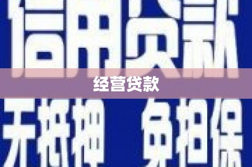 华龙经营贷款