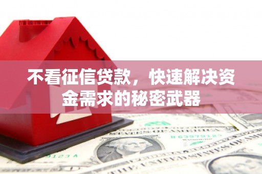 华龙不看征信贷款，快速解决资金需求的秘密武器