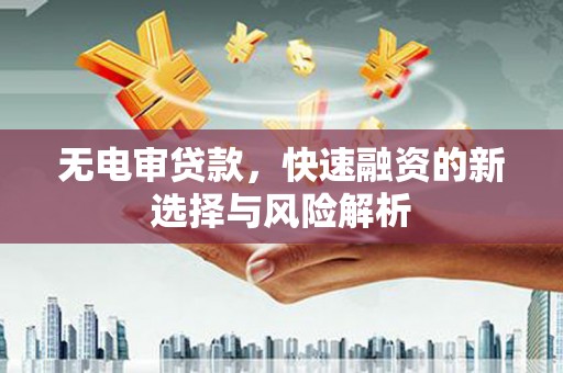 华龙无电审贷款，快速融资的新选择与风险解析