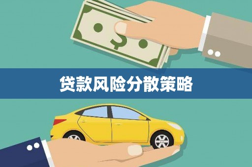 华龙贷款风险分散策略