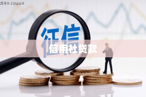 华龙信用社贷款